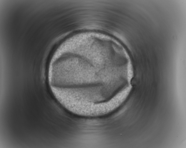 X0000088730979200706282120