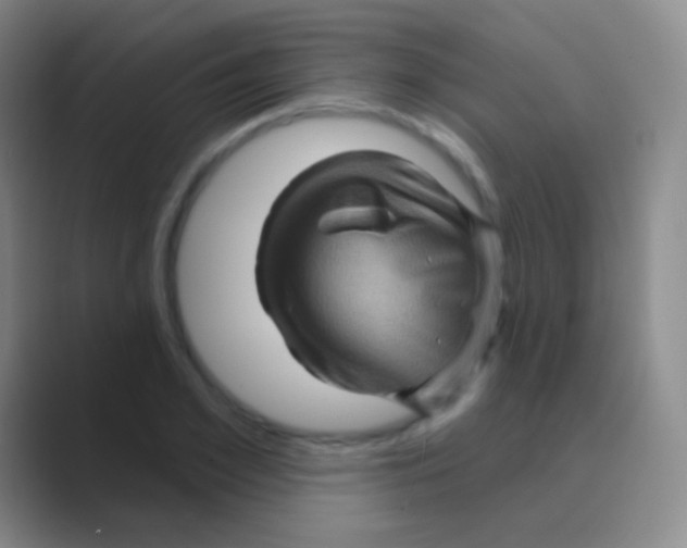 X0000088730981200706282120