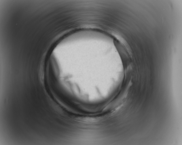 X0000088730984200706282120