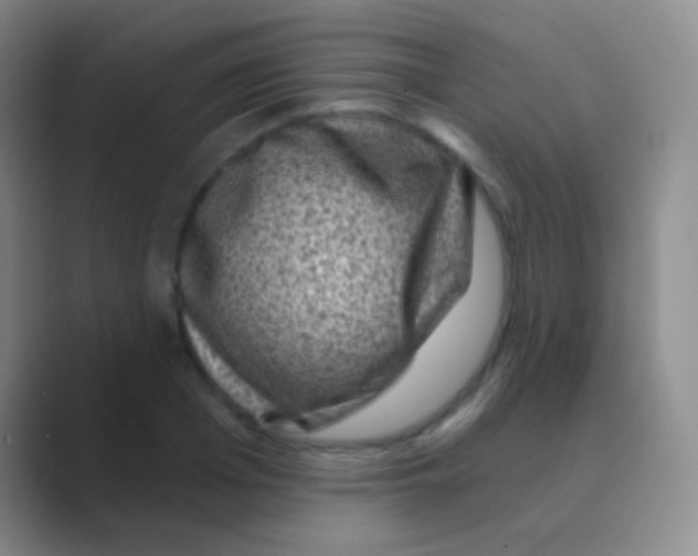 X0000088730985200706282120