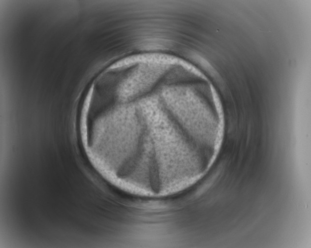 X0000088730986200706282120