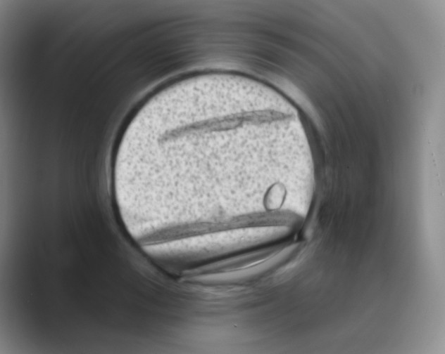 X0000088730988200706282120