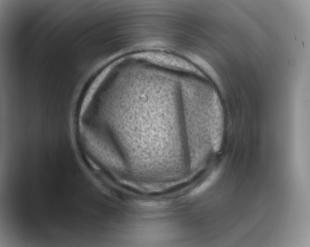 X0000088730989200706282120