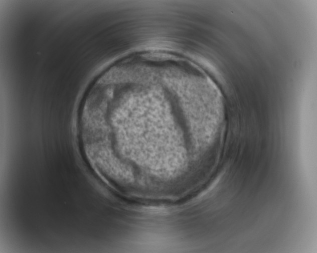 X0000088730990200706282120