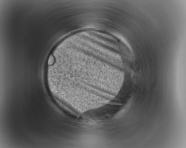 X0000088730991200706282120