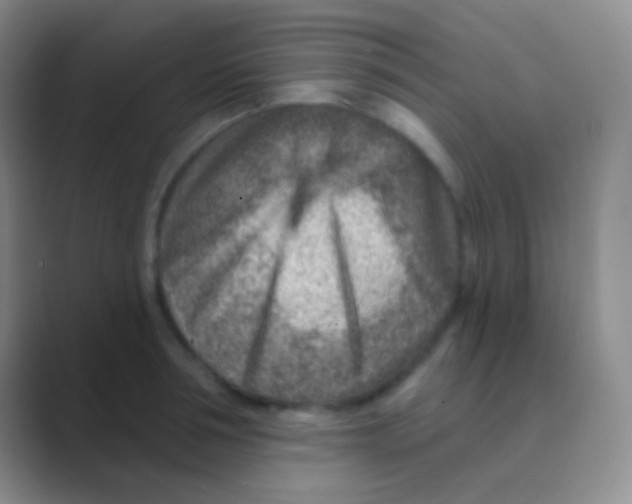 X0000088730994200706282120