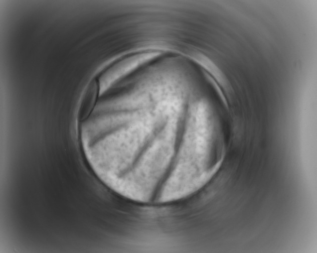 X0000088730996200706282120