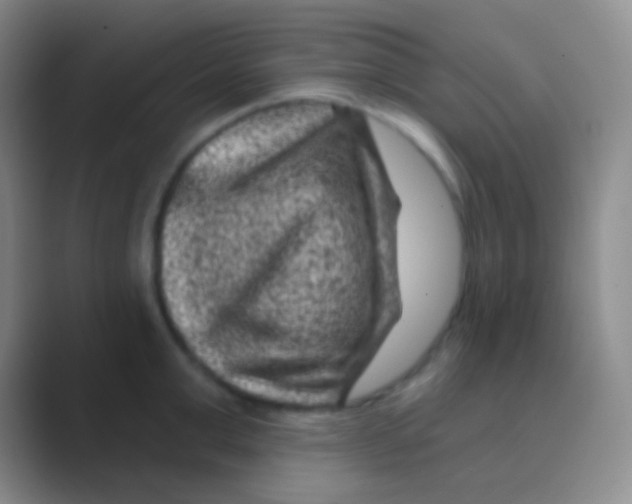 X0000088730999200706282120