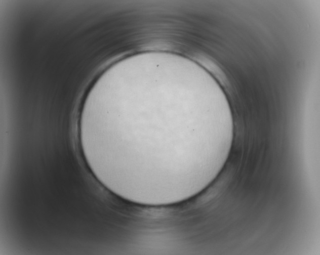 X0000088731000200706282120