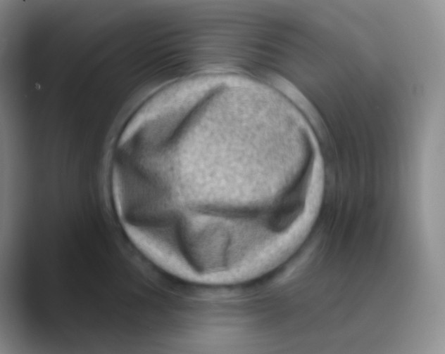 X0000088731002200706282120