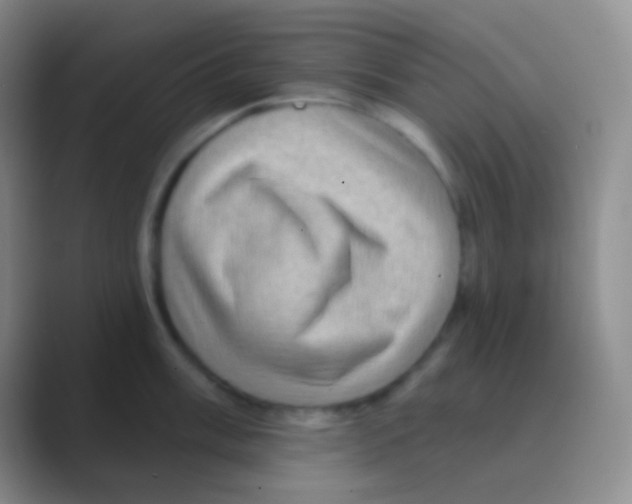 X0000088731003200706282120