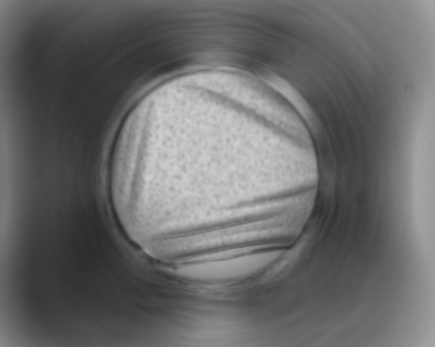 X0000088731004200706282120