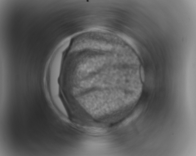 X0000088731007200706282120