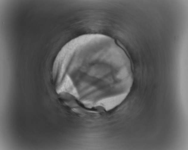 X0000088731009200706282119