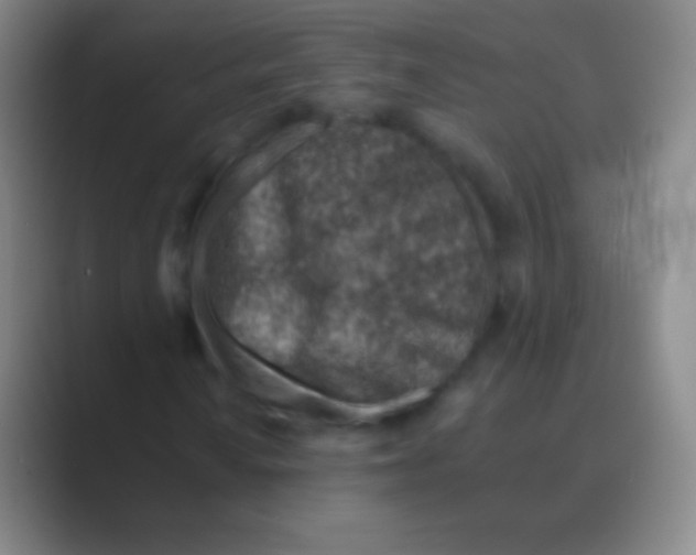 X0000088731010200706282119