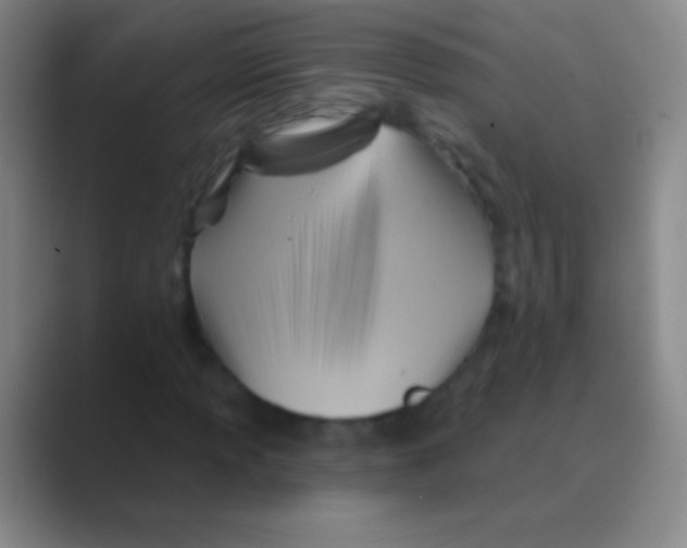 X0000088731013200706282119