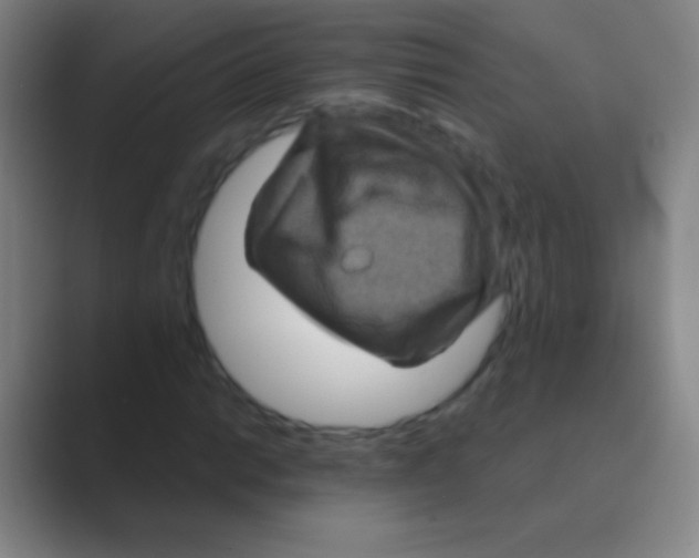 X0000088731014200706282119