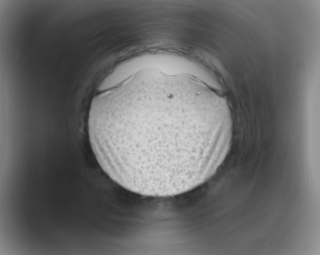 X0000088731016200706282119