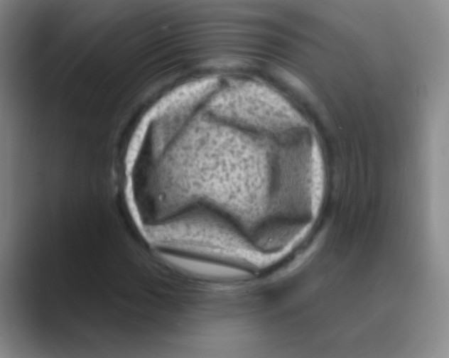 X0000088731017200706282119