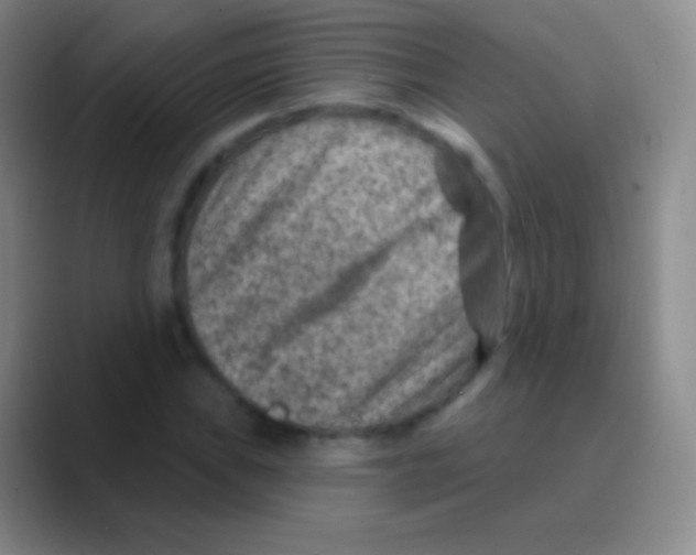 X0000088731019200706282119