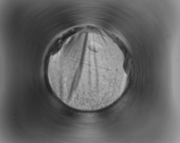 X0000088731020200706282119