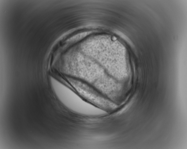 X0000088731021200706282120