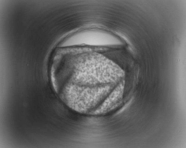 X0000088731022200706282120