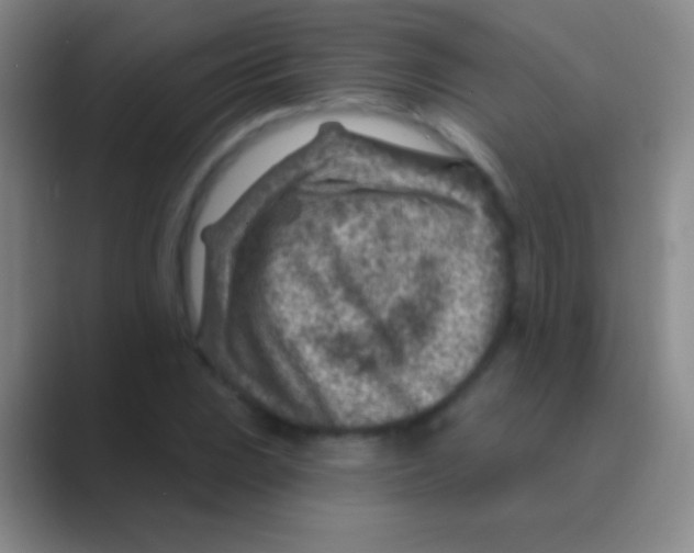 X0000088731023200706282120