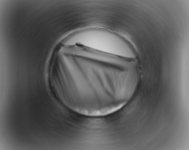 X0000088731024200706282120