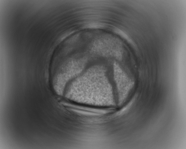 X0000088731025200706282120