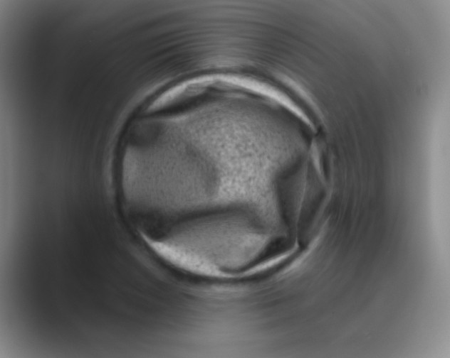 X0000088731026200706282120