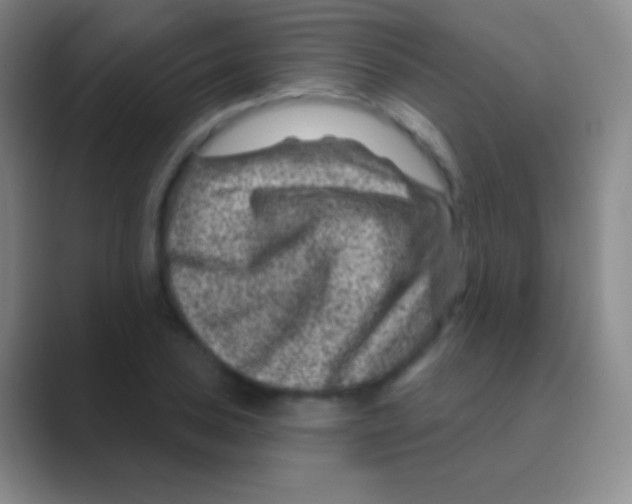 X0000088731027200706282120