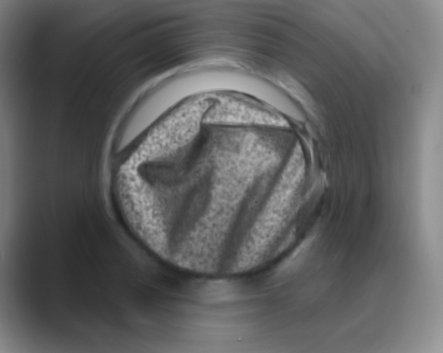 X0000088731028200706282120