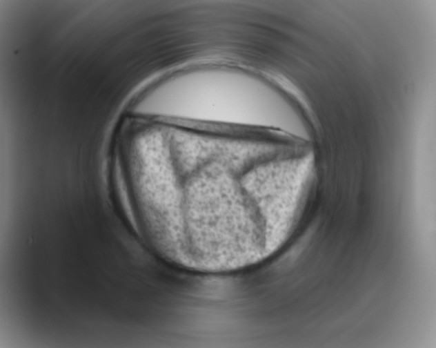 X0000088731029200706282120