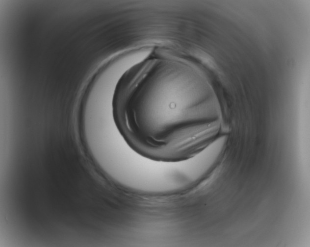 X0000088731030200706282120