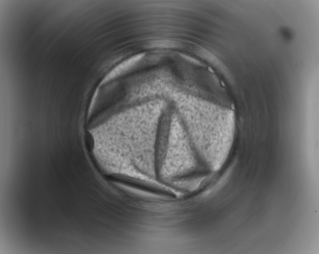 X0000088731033200706282120