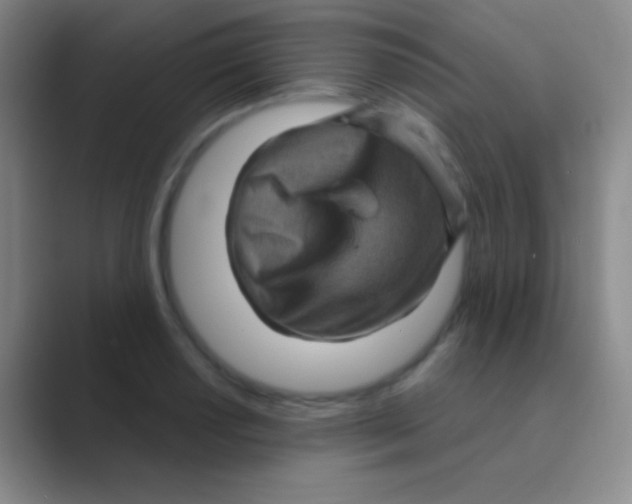 X0000088731034200706282120