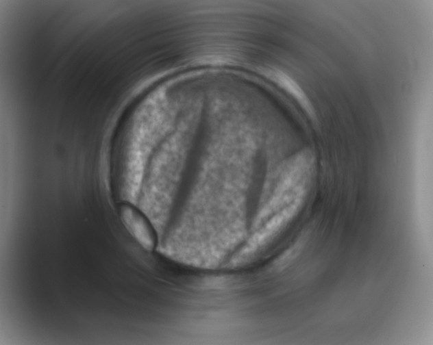 X0000088731035200706282120