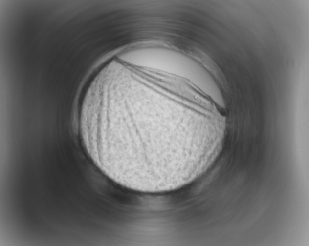 X0000088731036200706282120