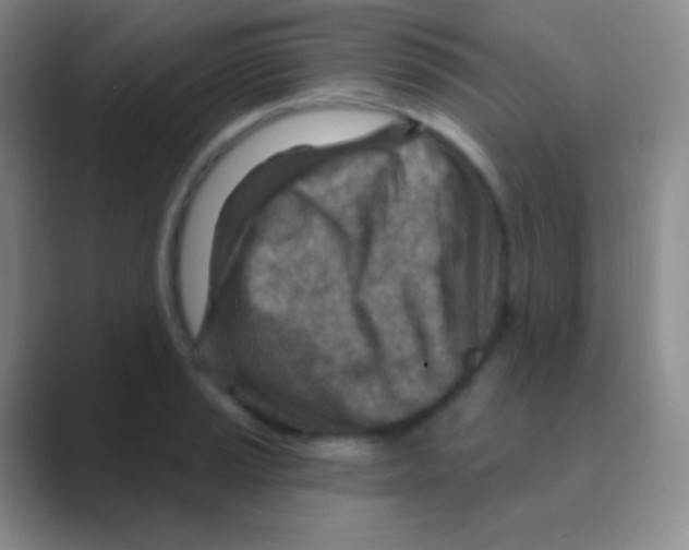 X0000088731037200706282120