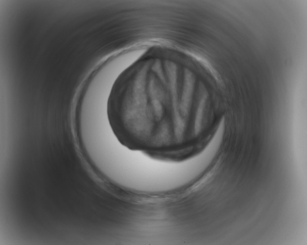 X0000088731038200706282120