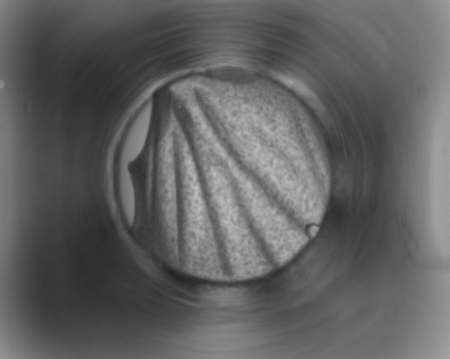 X0000088731039200706282120