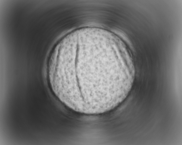 X0000088731040200706282120