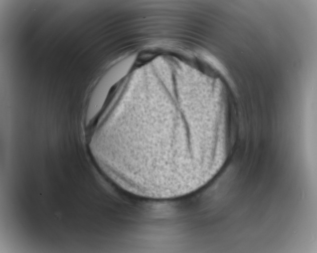 X0000088731041200706282120