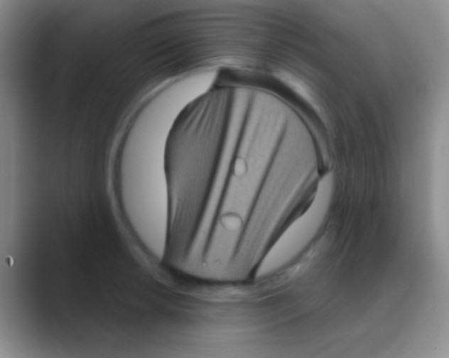 X0000088731042200706282120