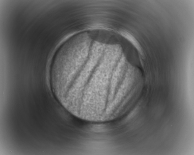 X0000088731043200706282120