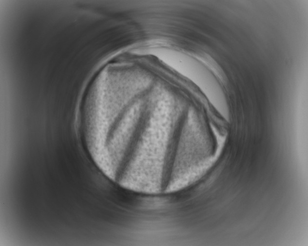 X0000088731044200706282120