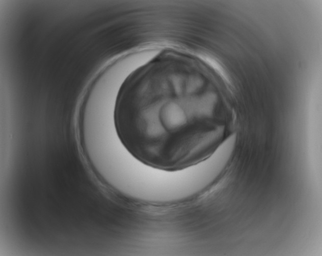 X0000088731046200706282120