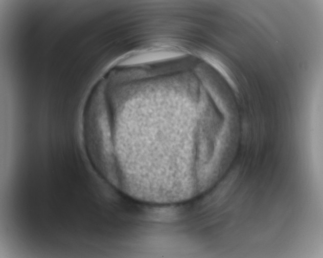 X0000088731047200706282120