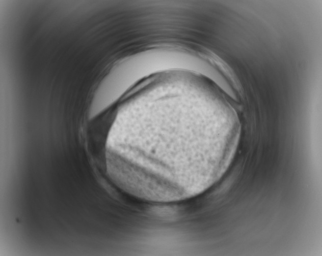 X0000088731049200706282120